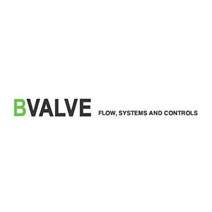 Colaborador BVALVE